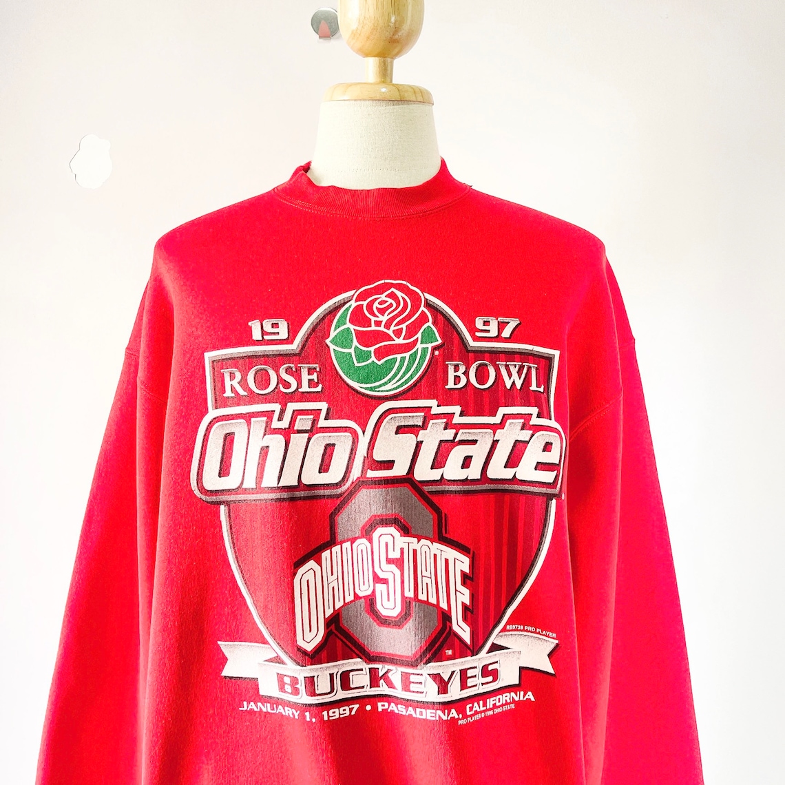 90s Ohio State University Buckeyes College Sweatshirt S-5XL