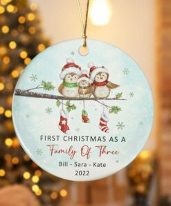 Custom First Christmas As A Family Of Three Owl Ceramic Ornament, New Family, Baby's First Christmas, First Christmas Together, Anniversary