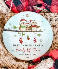 Custom First Christmas As A Family Of Three Owl Ceramic Ornament, New Family, Baby's First Christmas, First Christmas Together, Anniversary