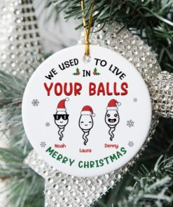 Custom We Used To Live In Your Balls Ceramic Ornament, Family Ornament, Merry Christmas, Personalized Gift For Dad Father, Gift For Him