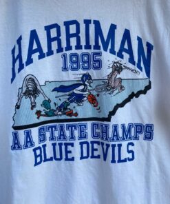 Harriman 1995 AA State Champs Blue Devils