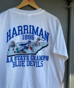 Harriman 1995 AA State Champs Blue Devils