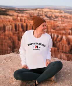 Northeastern University SweatShirt, Northeastern Crewneck Sweatshirt, Northeastern Sweatshirt, Gift For Student