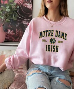 Notre Dame University Sweatshirt, Notre Dame Hoodie, Harvard University, State Sweatshirt, College Sweatshirt, Northeastern, American Tee