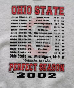 Ohio State Buckeyes Sweatshirt Vintage 00s Ohio State Buckeyes Pullover Sweatshirt