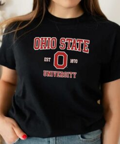 Ohio State University Shirt, USA College Classic Heavy Blend Crewneck Sweatshirt, Ohio State Sweatshirt, Ohio Hoodie, College Shirt