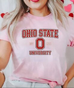 Ohio State University Shirt, USA College Classic Heavy Blend Crewneck Sweatshirt, Ohio State Sweatshirt, Ohio Hoodie, College Shirt