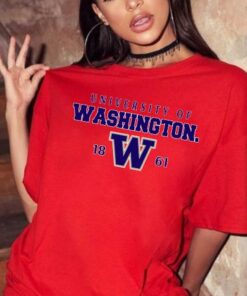 University Of Washington Shirt, Vintage Washington Sweatshirt, College Student gift, Washington Hoodie, University State Inspired