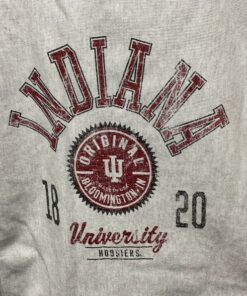 Vintage 90s Indiana Hoosiers Reverse Weave Champion Sweatshirt Crewneck IU, College Student Gift