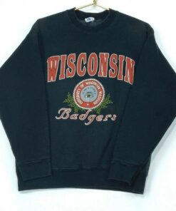 Vintage 90s University Of Wisconsin Badgers Starter Sweatshirt, Vintage Shirt, Hoodie