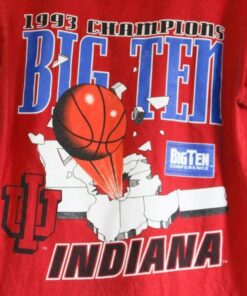 Vintage Indiana University Hoosiers Basketball Champions T-Shirt, Indiana Hoosiers Shirt, Vintage 90 Shirt, Gift For Her, Gift For Him