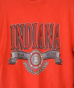 Vintage Indiana University Sweatshirt, Indiana Hoosiers Sweater, Football Fan Shirt, University Football Fan Shirt
