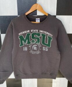 Vintage Michigan State University Sweatshirt, Jumper Michigan State University Crewneck, Big Logo Michigan State University Shirt