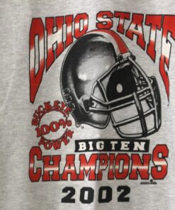 Vintage The Ohio State University OSU Buckeyes Big Ten Champions 2002 Sweatshirt