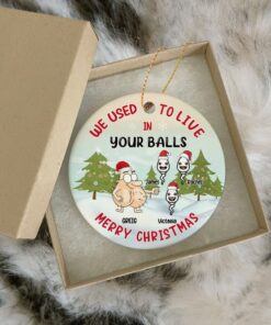 We Used To Live In Your Balls Ceramic Ornament, Custom Family Ornament, Merry Christmas, Personalized Gift For Dad Father, Gift For Him