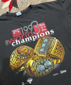 1993 Chicago Bulls Rings Graphic T Shirt Hoodie Sweatshirt Full Size Full Color Gift for Chicago Bulls Fans