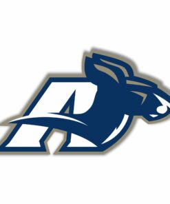 Akron Zips Full Color Vinyl Decal For Car Door Windows Gifts For Football Fans