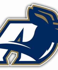Akron Zips NCAA Logo Vinyl Decals Sticker For Car Truck Door And Window Laptop Gifts For Fans