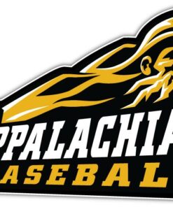 Appalachian State Mountaineers NCAA Logo Vinyl Decals Sticker For Car Truck Door And Window Laptop Gifts For Fans