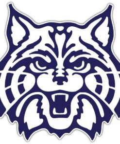 Arizona Wildcats NCAA Logo Vinyl Decals Sticker For Car Truck Door And Window Laptop Gifts For Fans