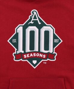 Arkansas Razorbacks Hoodie, Sweatshirt, Shirt Full Size Gifts For NCAA Fans, Arkansas Razorbacks 100 Seasons Stadium Hood Cardinal