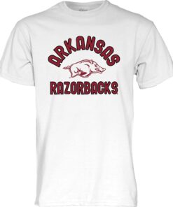 Arkansas Razorbacks Hoodie, Sweatshirt, Shirt Full Size Gifts For NCAA Fans, Line Up Secondary Color T Shirt