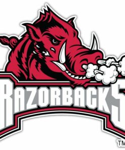 Arkansas Razorbacks NCAA Car Bumper Window Locker Notebook Sticker Decal