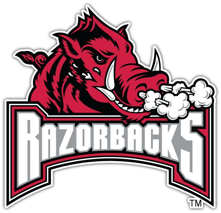 Arkansas Razorbacks NCAA Car Bumper Window Locker Notebook Sticker Decal
