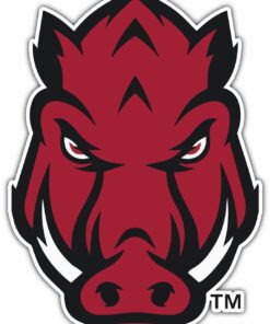 Arkansas Razorbacks NCAA Car Bumper Window Locker Notebook Stickers Decal