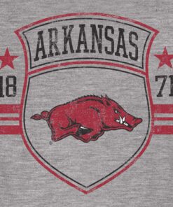 Arkansas Razorbacks Retro Shield Unisex Long Sleeve T-Shirt, Hogs Shirt Gifts For Razorbacks Fans, Arkansas Razorbacks Hoodie