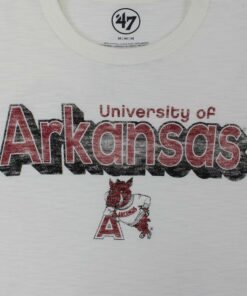 Arkansas Razorbacks Reunion Scrum Short Sleeve Crew Neck T-Shirt, Hogs Shirt Gifts For Razorbacks Fans, Arkansas Razorbacks Hoodie