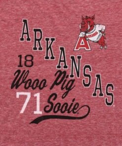 Arkansas Razorbacks Stacked Graphic Short Sleeve Triblend T-Shirt, Hogs Shirt Gifts For Razorbacks Fans, Arkansas Razorbacks Hoodie
