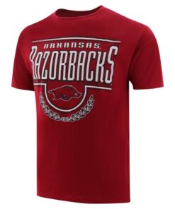 Arkansas Razorbacks Stripes Jersey Short Sleeve T-Shirt Cardinal, Hogs Shirt Gifts For Razorbacks Fans, Arkansas Razorbacks Hoodie