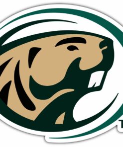 Bemidji State Beavers NCAA Logo Vinyl Decal Stickers For Car Truck Door And Window Laptop Gifts For Fans