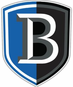 Bentley Falcons NCAA Logo Vinyl Decal Stickers For Car Truck Door And Window Laptop Gifts For Fan