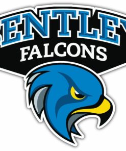 Bentley Falcons NCAA Logo Vinyl Decal Stickers For Car Truck Door And Window Laptop Gifts For Fans