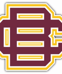 Bethune Cookman Wildcats NCAA Logo Vinyl Decals Sticker For Car Truck Door And Window Laptop Gifts For Fan