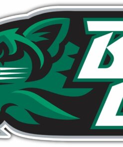 Binghamton Bearcats NCAA Logo Vinyl Decals Sticker For Car Truck Door And Window Laptop Gift Idea For Fans