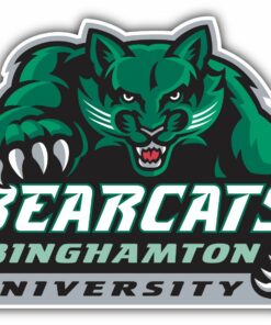 Binghamton Bearcats NCAA Logo Vinyl Decals Sticker For Car Truck Door And Window Laptop Gifts For Fans