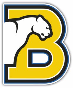 Birmingham Southern Panthers NCAA Vinyl Logo Vinyl Decals Sticker For Car Truck Door And Window Laptop Gifts For Fans