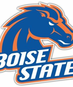 Boise State Broncos NCAA Car Logo Vinyl Decals Sticker For Car Truck Door And Window Laptop Gifts For Fans