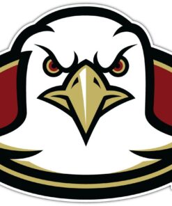 Boston College Eagles NCAA Logo Vinyl Decals Sticker For Car Truck Door And Window Laptop