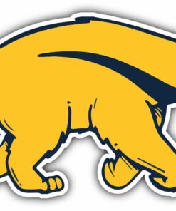 Cal California Irvine Anteaters NCAA Vinyl Logo Vinyl Decals Sticker For Car Truck Door And Window Laptop Gifts For Fans