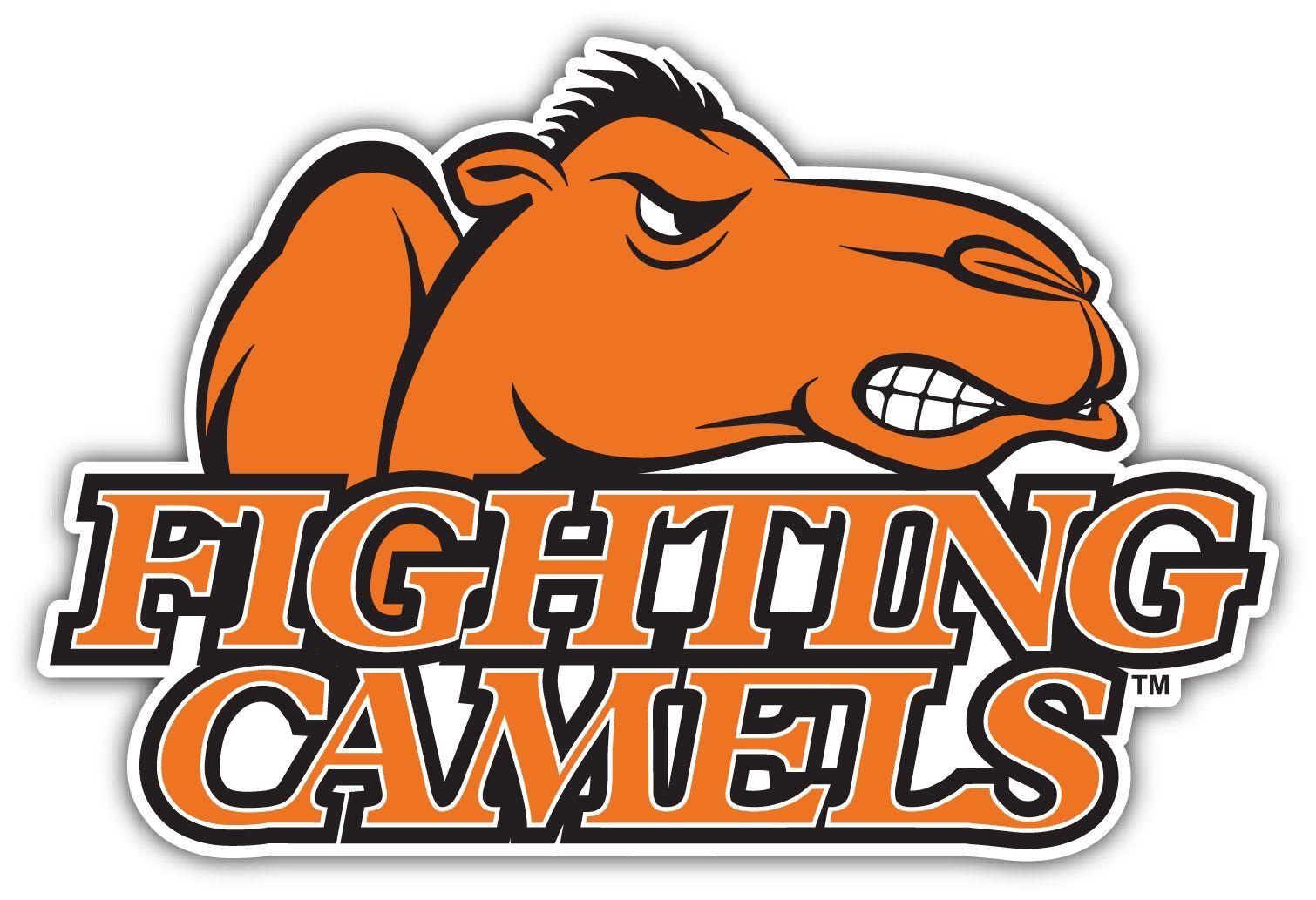 Campbell Fighting Camels NCAA Vinyl Logo Vinyl Decals Sticker For Car