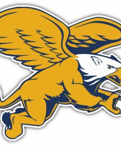 Canisius Golden Griffins NCAA Vinyl Logo Vinyl Decals Sticker For Car Truck Door And Window Laptop Gifts For Fans