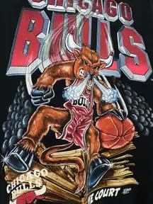 Chicago Bulls Vintage Style 90’s Band T-Shirt Sweatshirt Pullover Hoodie Reprinted Full Color Full Size Gift for Chicago Bulls Fans