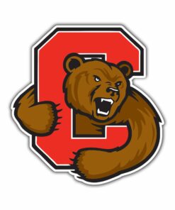 Cornell Big Red Full Color Vinyl Decal For Car Door Windows Gifts For Football Fans