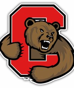 Cornell Big Red NCAA Vinyl Logo Vinyl Decals Sticker For Car Truck Door And Window Laptop Gifts For Fans