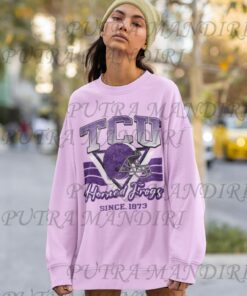 Custom Your Team, Vintage Texas Christian 1873 Crewneck Sweatshirt, Football Texas Christian Shirt, Texas Christian Fan Crewneck Shirt