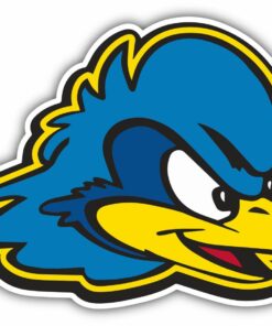 Delaware Blue Hens College NCAA Vinyl Logo Vinyl Decals Sticker For Car Truck Door And Window Laptop Gift For Fans